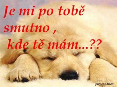 pejsáááááááneček