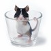 potkan ve skleničce